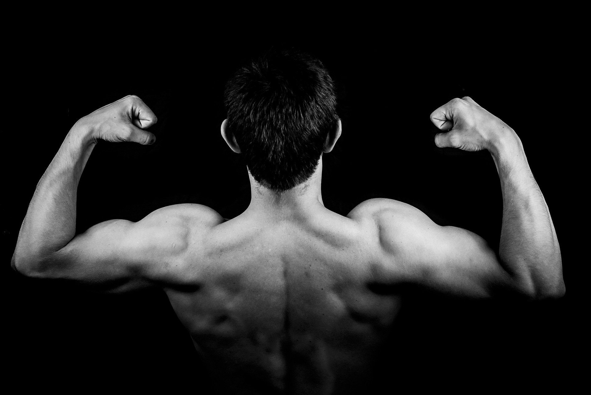 Biceps Kuvveti İçin Barbell Curl Egzersizleri